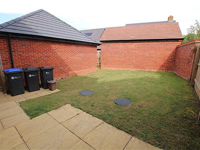 Picture 15